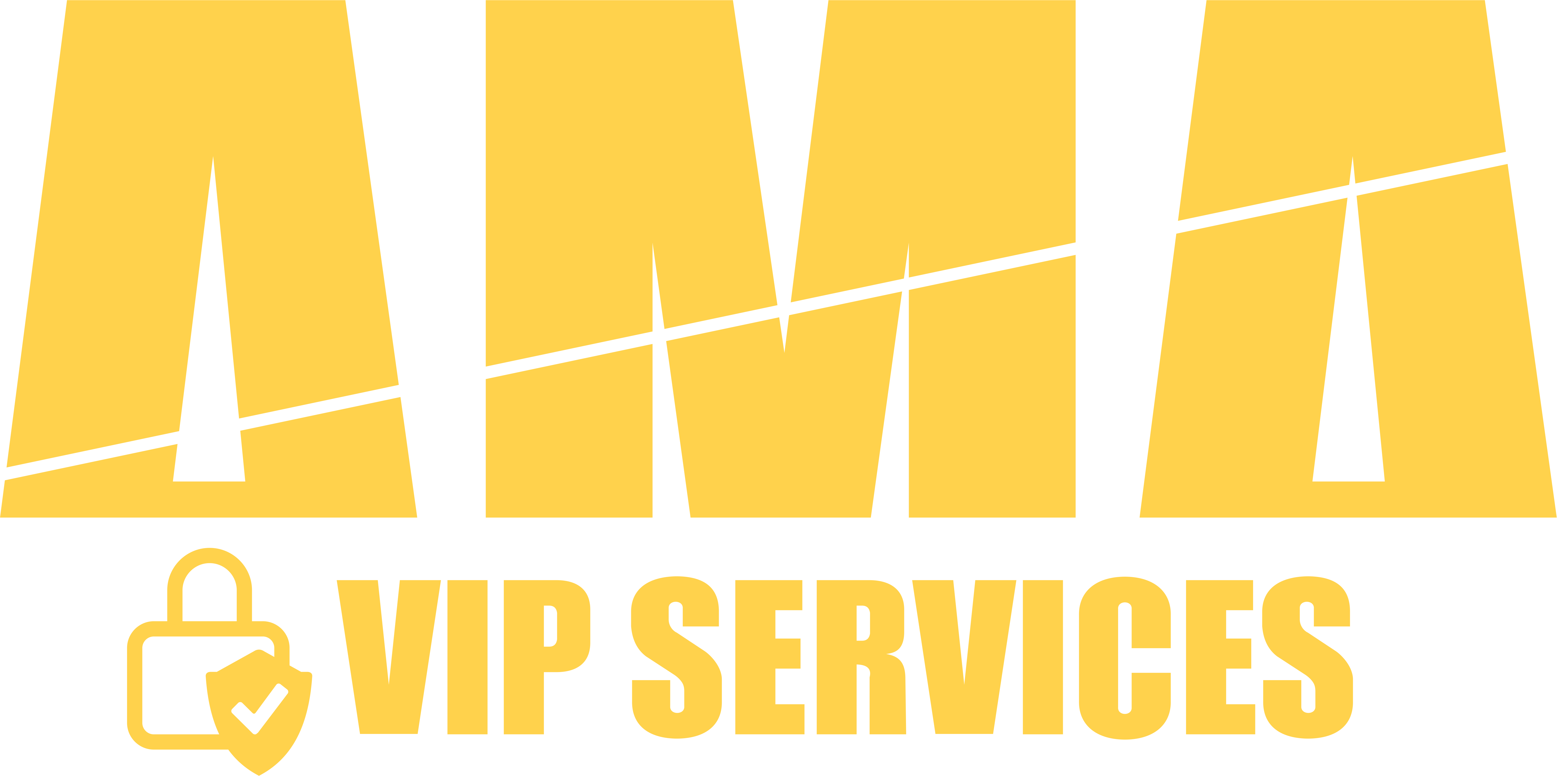 008-ama-vip-services-security-world-class-private-bodyguard